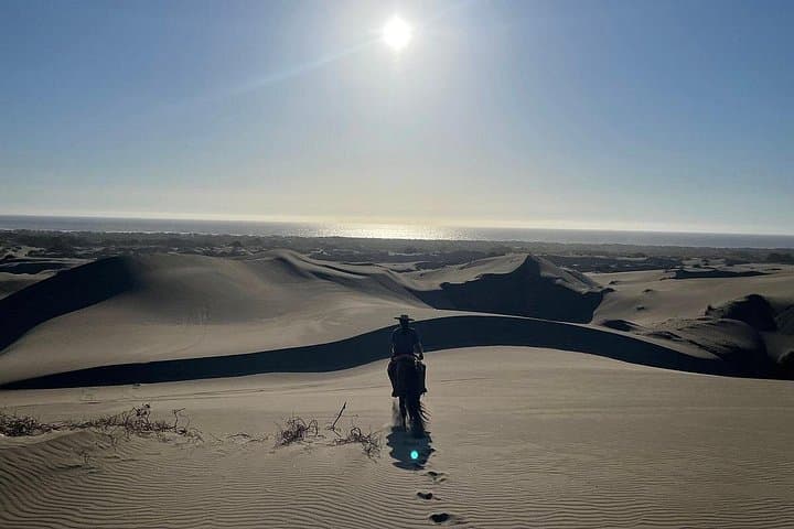 Ride Ritoque: Private Horseback Adventure on Sea Sand Dunes with BBQ from Valparaiso photo 2