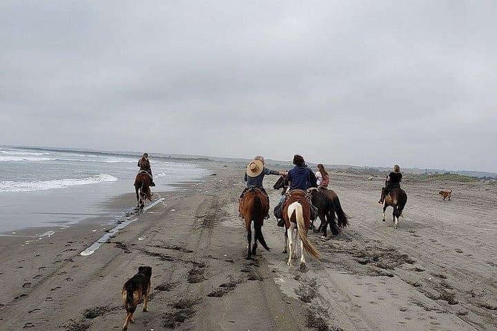 Ride Ritoque: Private Horseback Adventure on Sea Sand Dunes with BBQ from Valparaiso photo 3