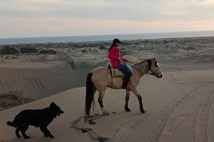 Ride Ritoque: Private Horseback Adventure on Sea Sand Dunes with BBQ from Valparaiso photo 4