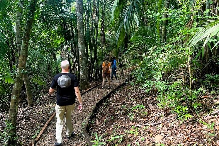 Guided Hike in Metropolitan Natural Park — Panama City's Urban Rainforest Walk photo 1
