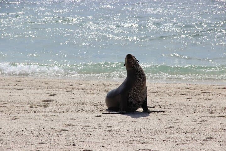 Galapagos Island Hopping: 10-Day Santa Cruz & Isabela Adventure photo 2