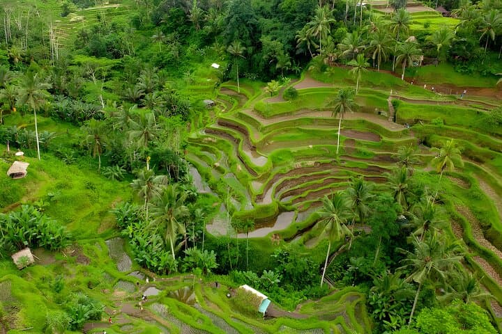 Bali Horse Riding and Ubud Full-Day Trip: Saba Bay Beach Ride & Cultural Sights photo 2
