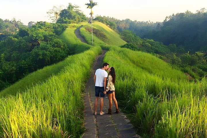 Full-Day Ubud Car Charter: Tegenungan, Tegalalang Rice Terraces & Monkey Forest