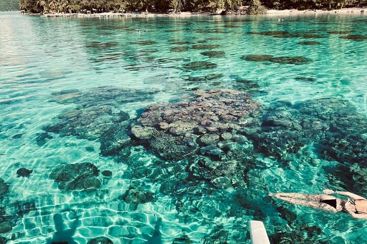 Bora Bora Full-Day Lagoon Safari: Snorkel with Rays, Sharks & Motu Picnic photo 4
