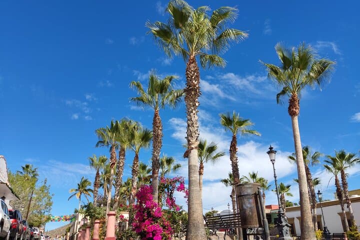 Full-Day Coastal Adventure to Balandra Beach, Todos Santos & La Paz from Cabo photo 2