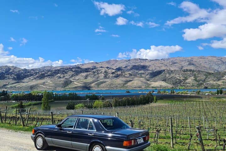 Cromwell Classic Car Wine Tour: Private Central Otago Vineyard Tasting photo 4
