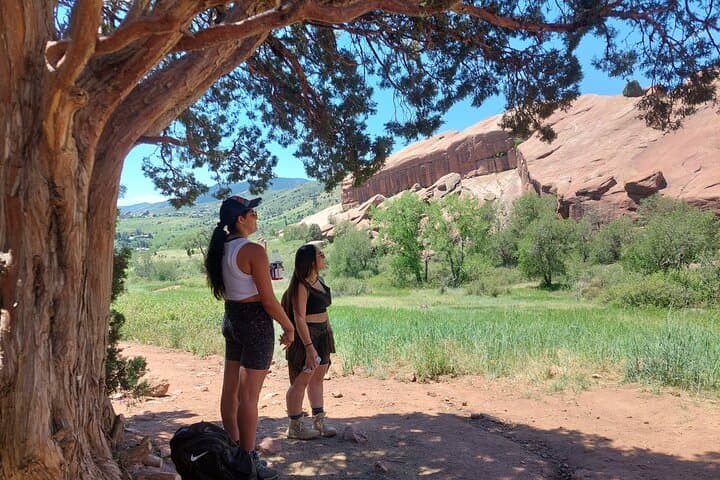 Denver in a Day: Red Rocks, RiNo Murals and Downtown Highlights Private Tour photo 5