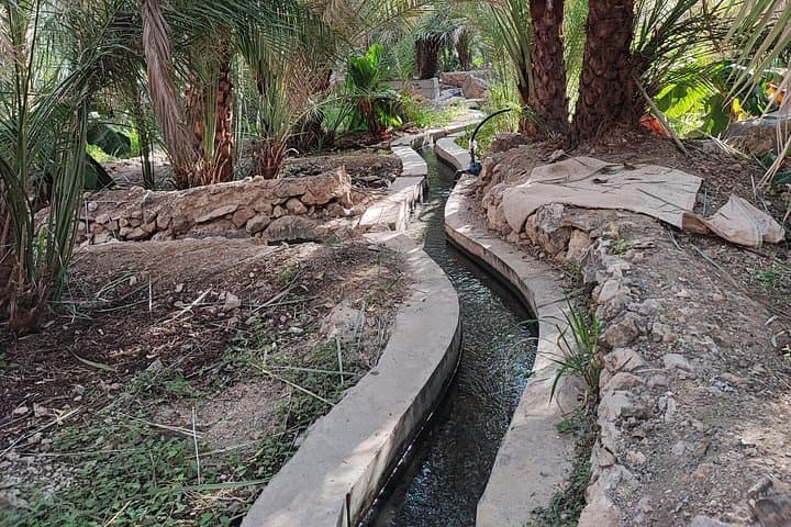 Salalah City Private Tour: 4-Hour Cultural Highlights & Frankincense Heritage photo 4