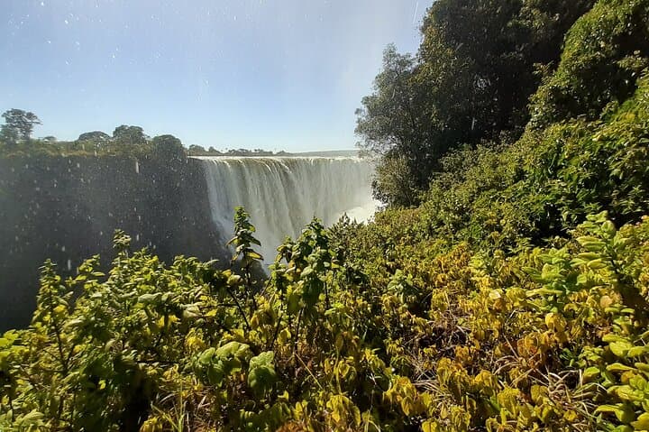 Victoria Falls & Chobe Combo: Helicopter Flight, Falls Tour and Chobe Safari photo 4