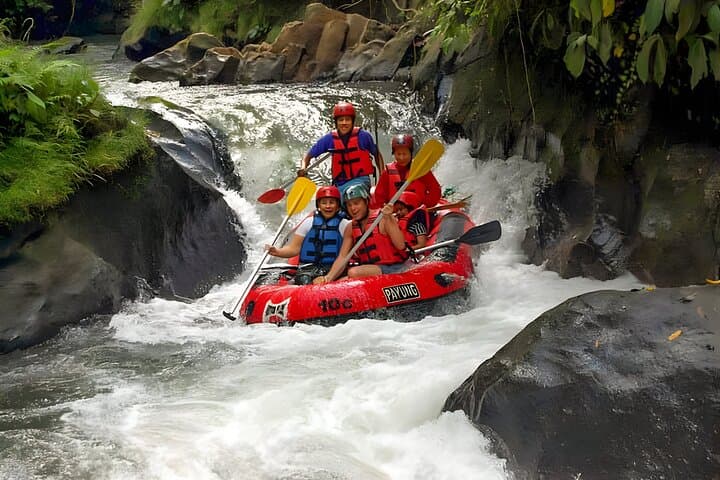 Ayung River Rafting & Ubud Full-Day Tour: Monkey Forest, Tegalalang & Tegenungan
