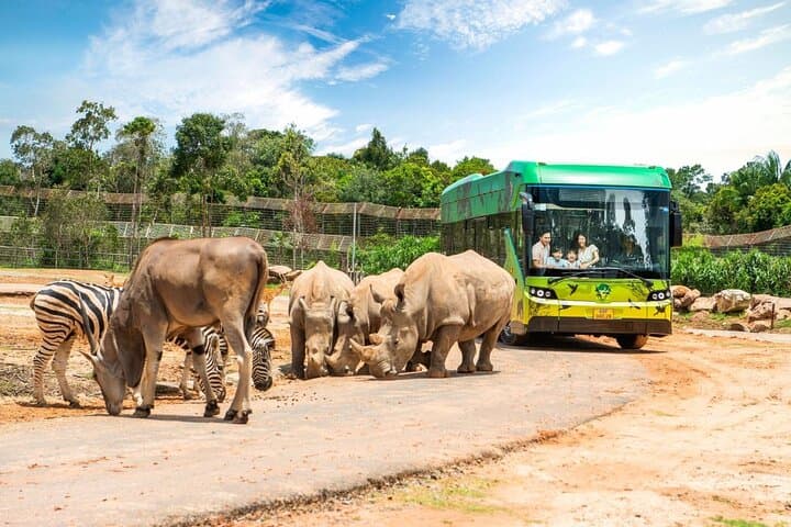 Vinpearl Safari Phu Quoc — Open-Zoo Ticket with Roundtrip Transfer photo 4