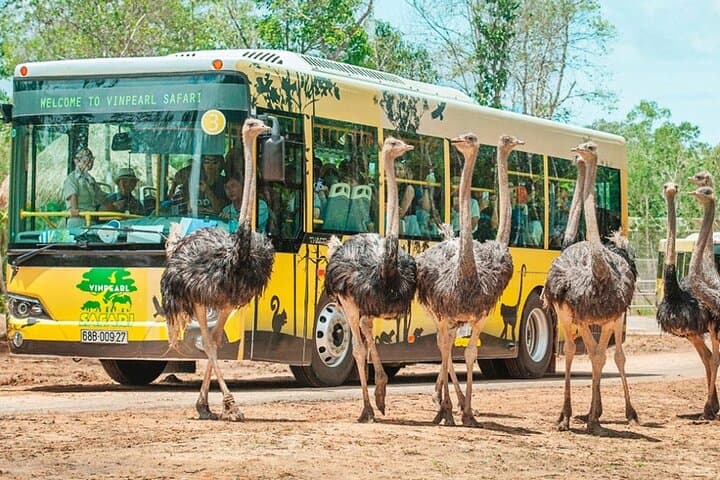 Vinpearl Safari Phu Quoc — Open-Zoo Ticket with Roundtrip Transfer photo 5