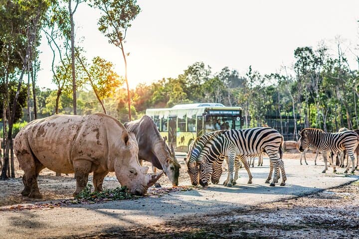 Vinpearl Safari Phu Quoc — Open-Zoo Ticket with Roundtrip Transfer photo 6
