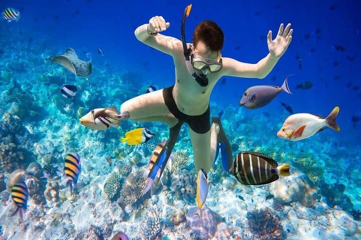 SUP & Snorkel at Hon Chong Beach: Paddle to Nha Trang’s Shallow Reefs photo 4