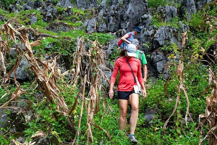 Dong Van 1-Day Trek: 15–17 km Trek on the UNESCO Karst Plateau photo 3