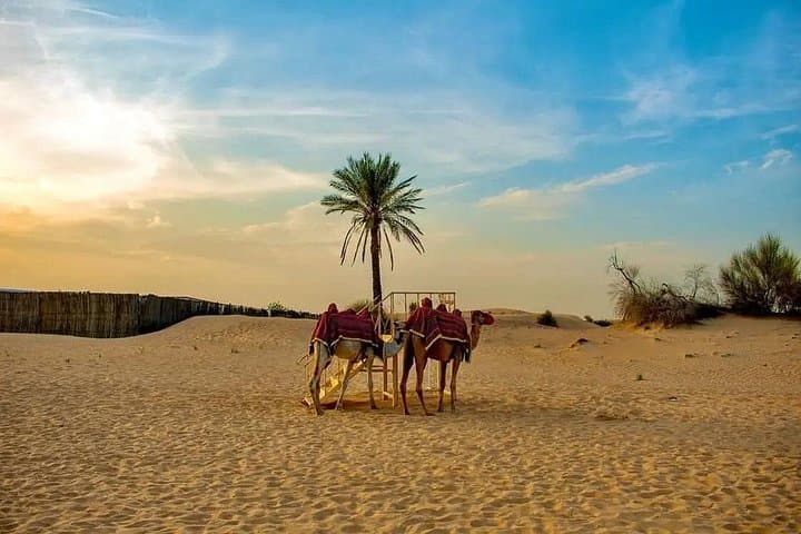 Dubai Morning Desert Safari: Sunrise Dune Bashing, Camel Ride & Breakfast photo 5