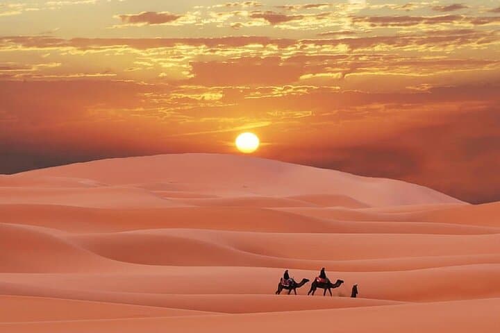 Sunrise Dunes to Marina Lights: Dubai Morning Desert Safari, City Tour & Dhow Cruise photo 3