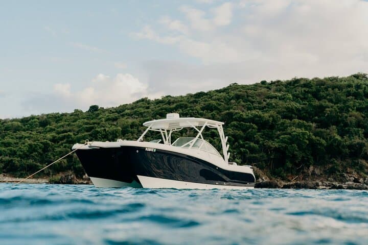 Bonus Time Charters team