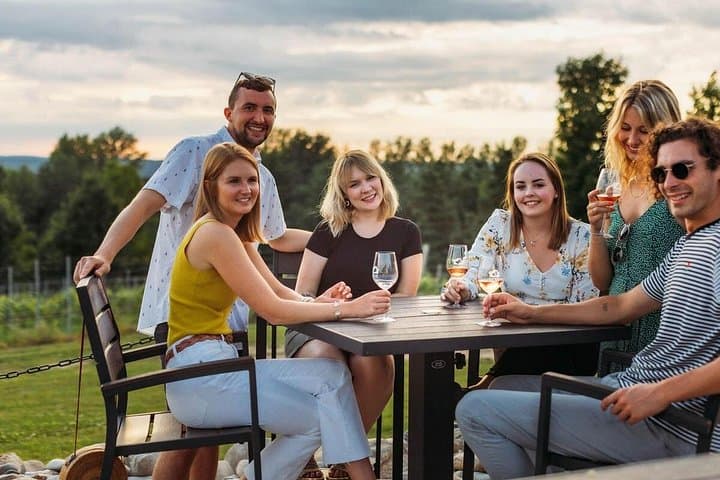 Traverse City Leelanau Peninsula Wine Tour: 3-Winery Afternoon from Downtown photo 1