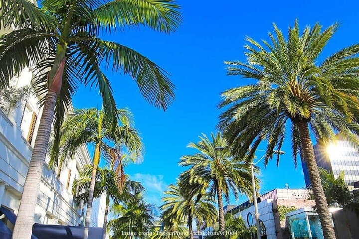 Private Beverly Hills & Rodeo Drive Walking Tour — 2-Hour Guided Stroll photo 5