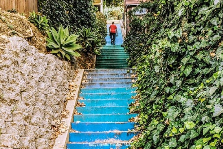 Explore Silver Lake's Painted Stairways: Private Walking Tour of Hidden Steps photo 4