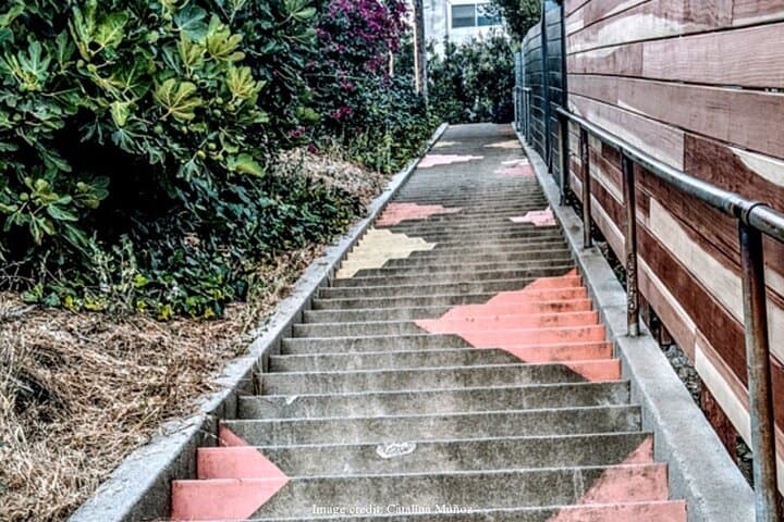 Explore Silver Lake's Painted Stairways: Private Walking Tour of Hidden Steps photo 5