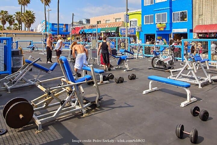 Venice Beach Private Walking Tour — 2-Hour Neighborhood Highlights photo 4