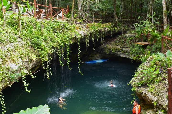 Explore 3 Jungle Cenotes and Zipline Near Puerto Morelos — Day Adventure