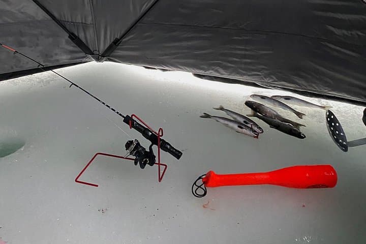 Half-Day Ice Fishing in Wasilla: Heated Tents & Guided Catch-and-Clean photo 2