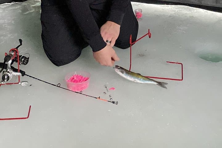 Half-Day Ice Fishing in Wasilla: Heated Tents & Guided Catch-and-Clean photo 3