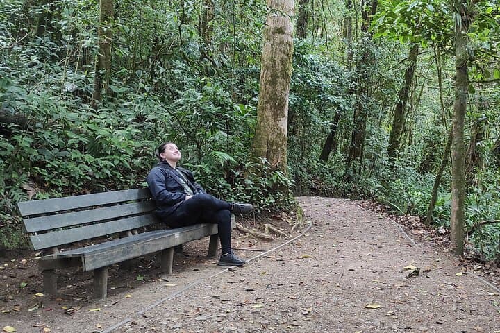 Monteverde Cloud Forest Natural History Walk: Hummingbirds, Quetzal & Mossy Trails photo 6