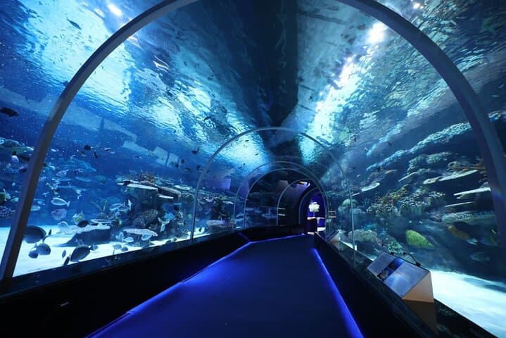 Inside Hamad Port: Private Mesaieed Aquarium & Maritime Museum Tour photo 2