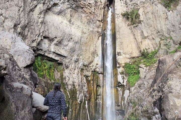 Puracé National Natural Park Day Tour: Condors, Páramo & Hot Springs photo 4