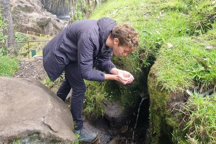 Puracé National Natural Park Day Tour: Condors, Páramo & Hot Springs photo 3