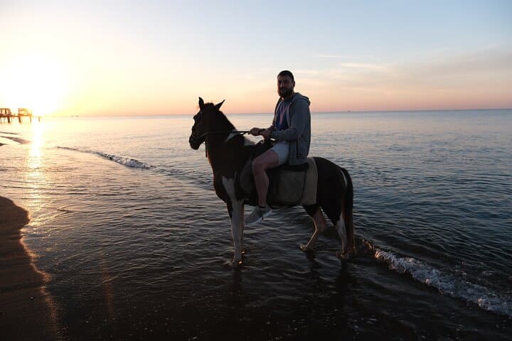 Ride Lara Beach: Horseback Riding Through Antalya Forest to the Sea photo 3