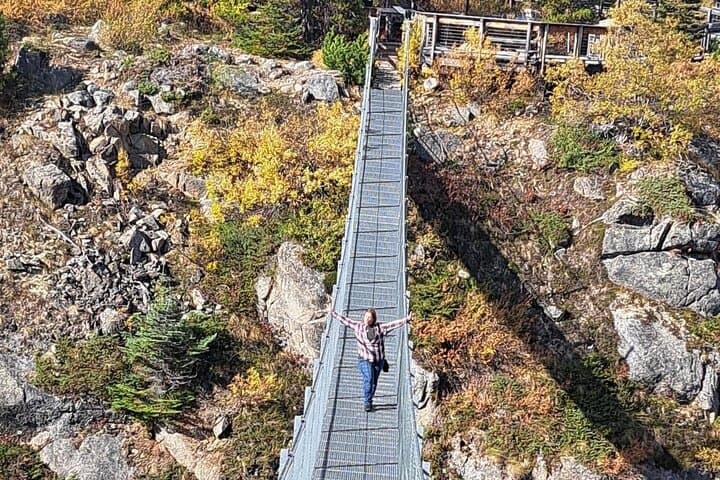 Skagway to Yukon Suspension Bridge Half-Day Tour: White Pass & Tutshi River Views photo 1