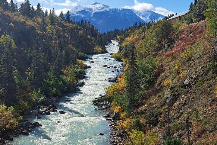 Skagway to Yukon Suspension Bridge Half-Day Tour: White Pass & Tutshi River Views photo 2