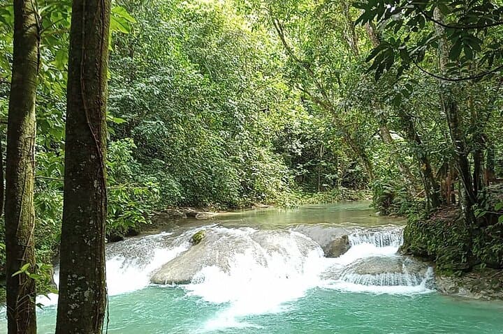 Dominican Flavor & Countryside Safari — Coffee, Cocoa, and Village Trails photo 3