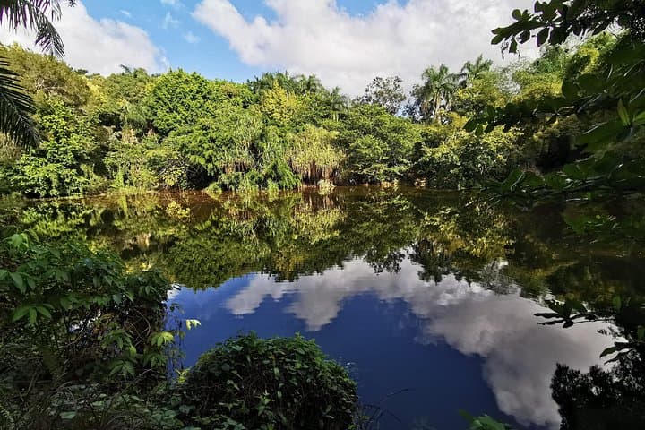 Dominican Flavor & Countryside Safari — Coffee, Cocoa, and Village Trails photo 1