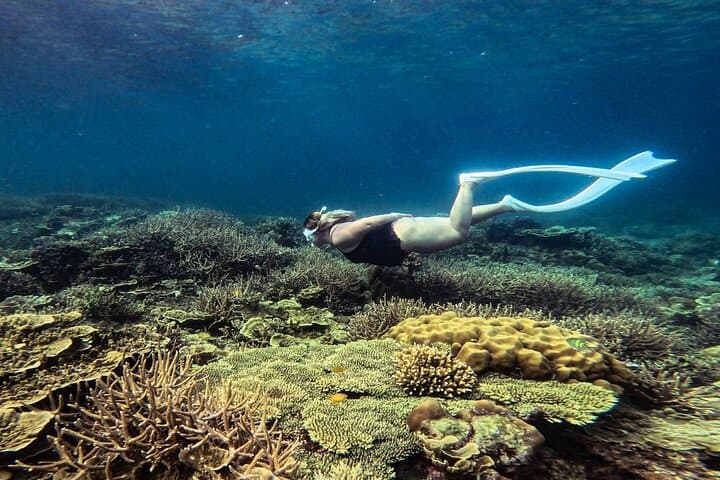 Port Barton Full-Day Island Hopping — Snorkel Twin Reef, Sandbar & Turtle Sanctuary