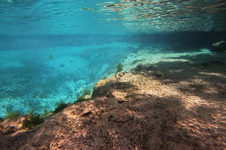 Crystal River Manatee Swim: Semi-Private Heated-Boat Tour in Kings Bay photo 4