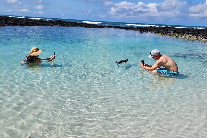 Tortuga Bay Beach Wildlife and Snorkel with Underwater Specialist photo 4