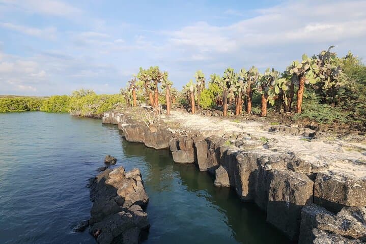 Tortuga Bay Beach Wildlife and Snorkel with Underwater Specialist photo 2