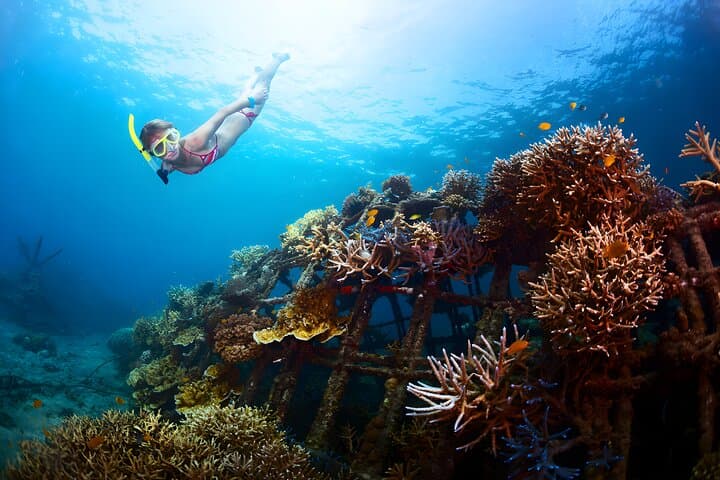 Blue Lagoon Padangbai Snorkeling Tour — Calm Reefs & Macro Underwater Photography photo 3