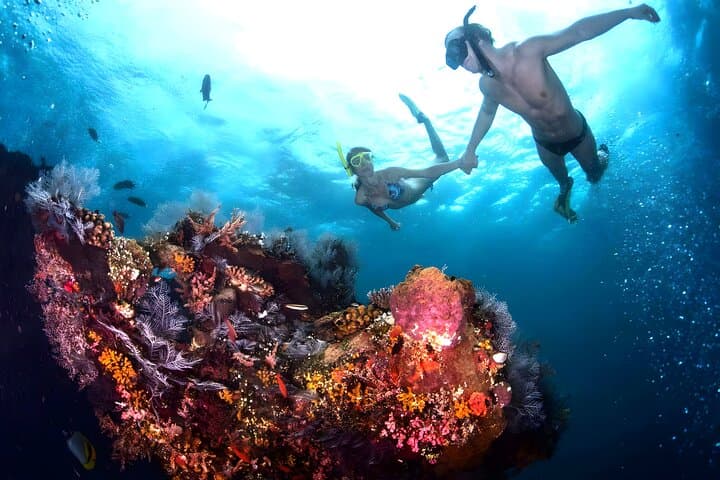 Blue Lagoon Beach Snorkeling — Family-Friendly Reef Adventure Near Padang Bai, Bali photo 3