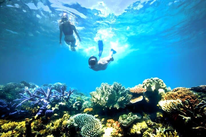 Blue Lagoon Padangbai Snorkeling Tour — Calm Reefs & Macro Underwater Photography photo 2