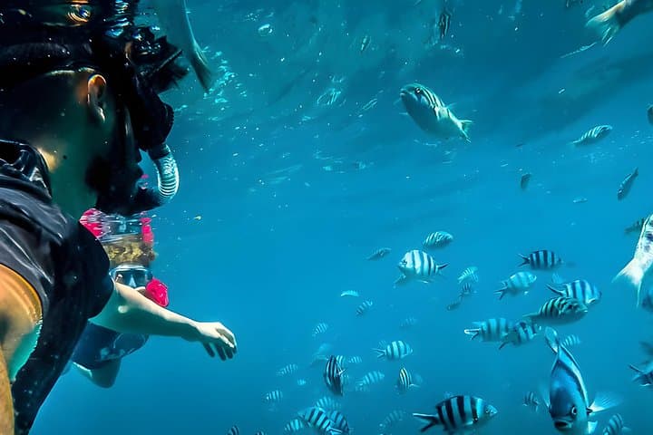 Blue Lagoon Snorkeling in Padangbai — All‑Inclusive Reef & Photo Tour photo 1