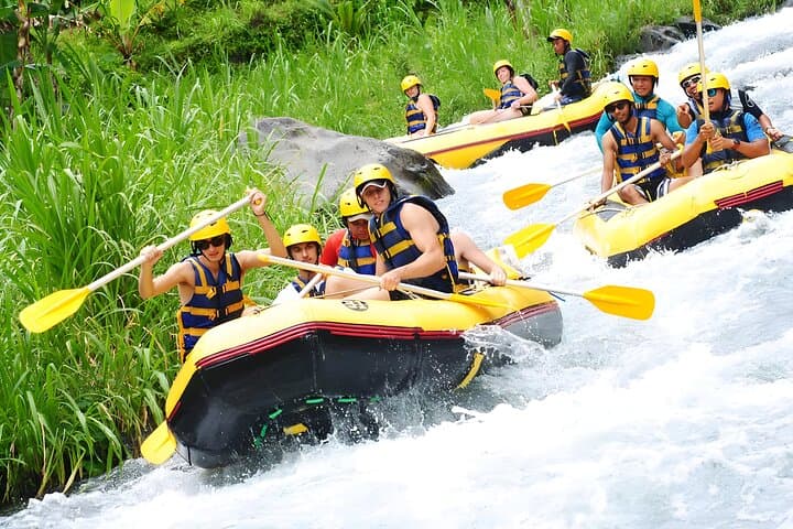 Telaga Waja Rafting and Bali Waterfalls Tour from Ubud — Full-Day Adventure photo 4