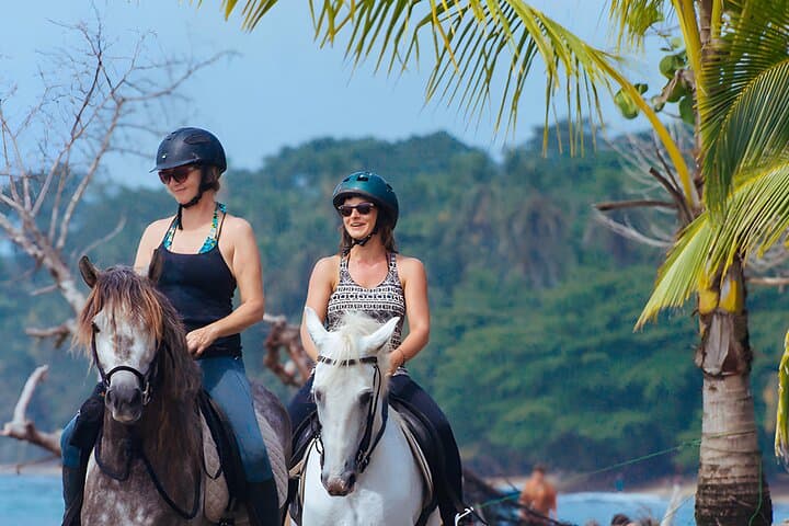 Bali Horse Riding & Ubud Rice Terrace Tour — Beach Ride, Monkey Forest & Tegenungan Waterfall