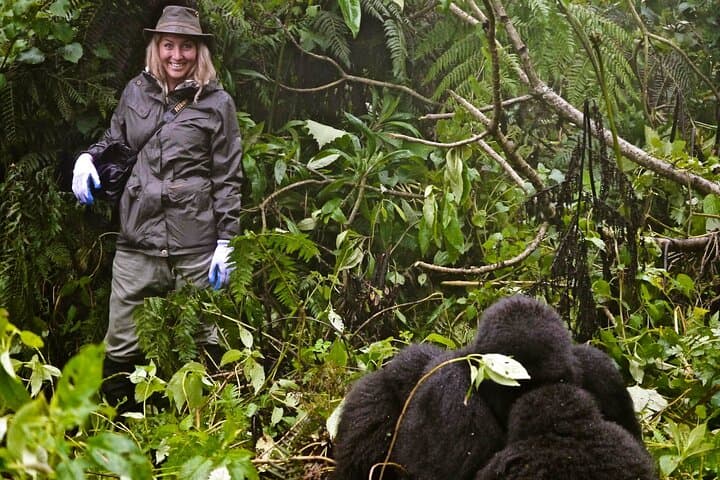 14-Day Uganda & Rwanda Primate Safari: Gorilla, Chimpanzee & Golden Monkey Treks